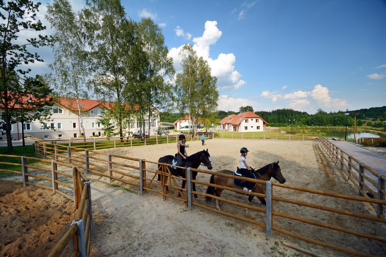 Swietokrzyska Polana - Medical Chrusty